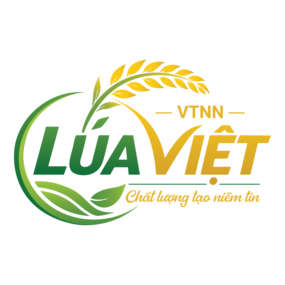 Lúa Việt